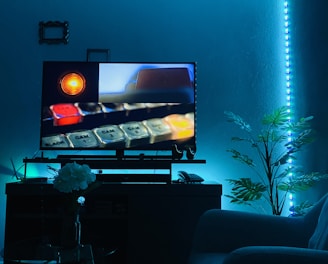 A cozy room illuminated by blue LED lights features a modern entertainment setup with a TV screen displaying a close-up of a control panel. The TV stand holds various electronic components, while a comfortable couch is partially visible. Decorative elements include a potted plant and a small table with a vase of white flowers.