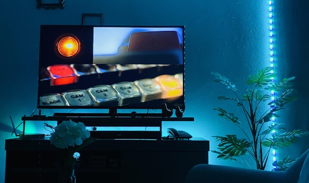 A cozy room illuminated by blue LED lights features a modern entertainment setup with a TV screen displaying a close-up of a control panel. The TV stand holds various electronic components, while a comfortable couch is partially visible. Decorative elements include a potted plant and a small table with a vase of white flowers.